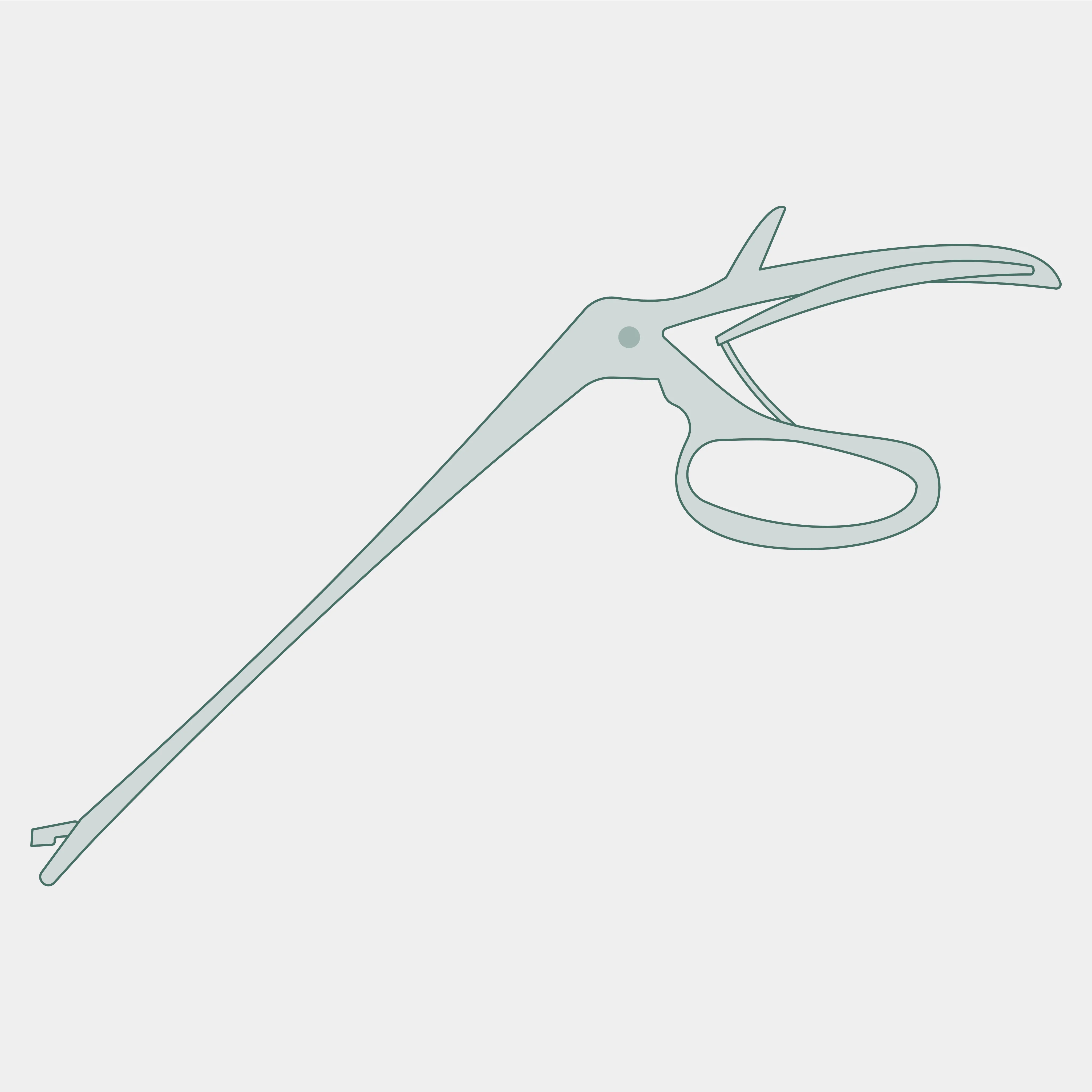 Biopsiezange | aufbereiten